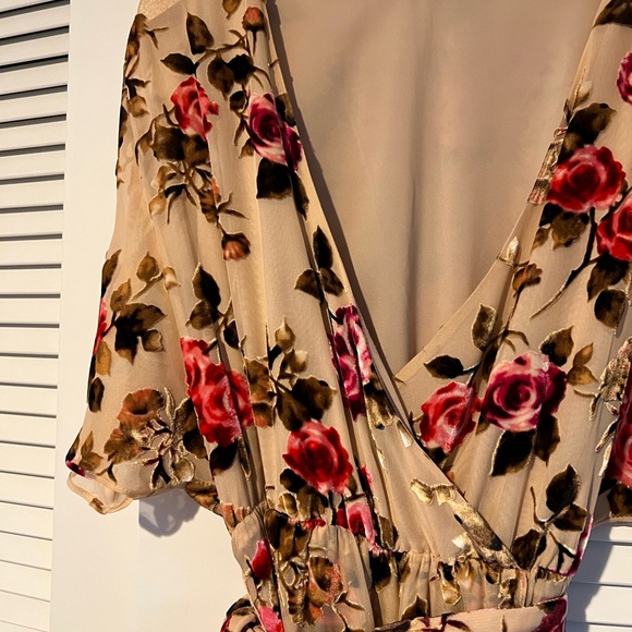 Alice and Olivia velvet floral burnout dress in size 2 - Picture 4 of 7